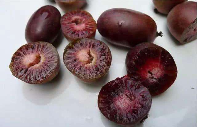 软枣猕猴桃苗  紫红软枣猕猴桃带土苗本地品种易成活